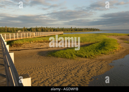 Image de la promenade au lever du soleil sur les dunes de sable du parc national Kouchibouguac au Canada Banque D'Images