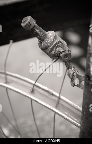 Ancienne Dynamo Vélo Ancien 1940 1950 + Support Bici Epoca