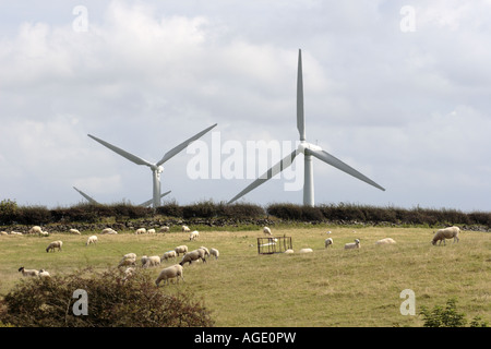 Moutons paissent sous les turbines des éoliennes le Trysglwyn près de Holyhead Anglesey Pays de Galles Banque D'Images