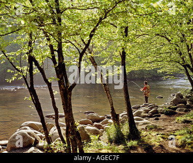 L'homme pêche sur la rivière Pigeon peu dans les Smoky Mountains en Caroline du Nord USA Banque D'Images