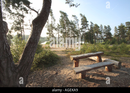 Siège pique-nique voir Frensham Little Pond Banque D'Images