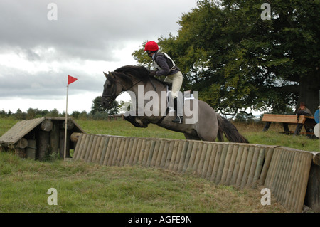 Poney Highland et rider en compétition cross country Banque D'Images