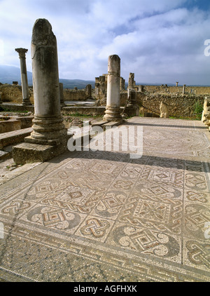 Colonnes et mosaïques ou chaussée tesselé dans le plancher d'une vieille maison en ruines romaines de Volubilis Maroc Banque D'Images