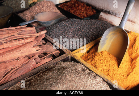 Les épices et les grains de poudre de cari pour vente à la Stone Town Zanzibar Tanzanie le tour des épices sont des excursions populaires Banque D'Images