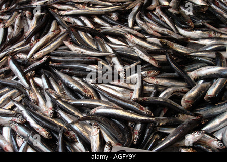 Marché aux poissons du Rialto Venise Banque D'Images