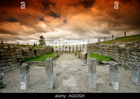 Temple romain de Mithra à Carrawburgh ou Brocolitia, mur d'Hadrien, Northumberland, Angleterre Banque D'Images