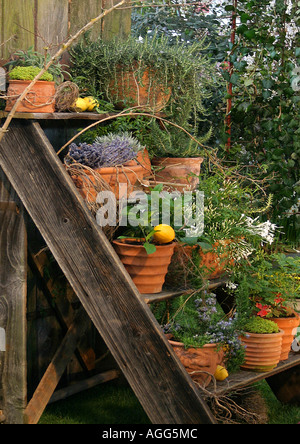 Cache-pots sur un escalier Banque D'Images