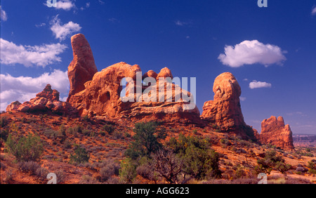 Tourelle Arch Arches National Park près de Moab Utah Banque D'Images