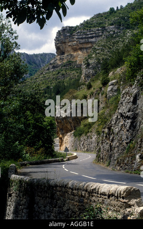 Gorges du Tarn Banque D'Images