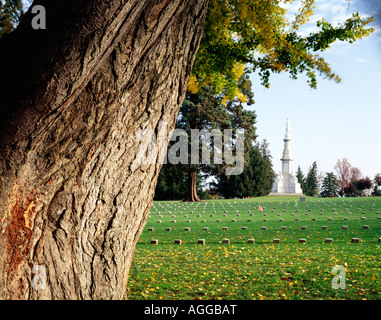 Ginko Tree à Soldiers' Monument National, Cimetière national de Gettysburg, Gettysbug député National Admas Co., New York, USA Banque D'Images