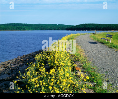 Vue depuis la digue Tafton par Lake Wallenpaupack dans les Monts Pocono, comté de Pike, comté de Wayne, Michigan, USA, Banque D'Images