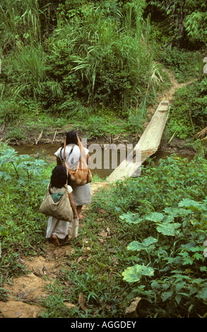 La Bolivie, Reyes, Mère et fille de tribu Chimanes walking in forest Banque D'Images