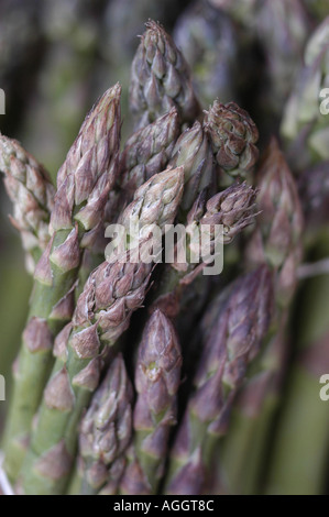 Les asperges Banque D'Images