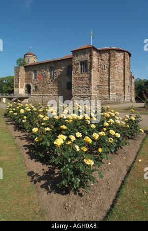 Musée du Château de Colchester et plus grand château Norman garder en Europe fondée sur le Temple Romain de Claudius Banque D'Images
