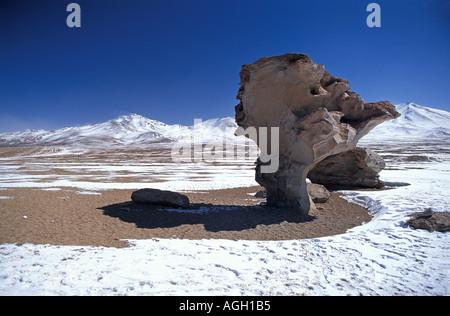 Reserva Nacional Eduardo Avaroa une zone de beauté naturelle dans le sud ouest de la Bolivie La Bolivie Arbol de Piedra S Nord Siloli desert Banque D'Images