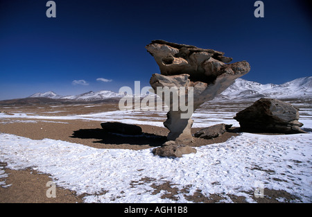 Reserva Nacional Eduardo Avaroa une zone de beauté naturelle dans le sud ouest de la Bolivie La Bolivie Arbol de Piedra S Nord Siloli desert Banque D'Images