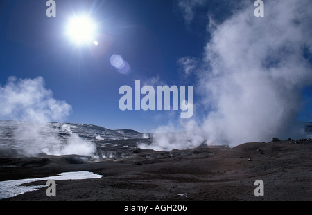 Sol de Mañana geysers de vapeur 5000m remplit l'air Reserva Nacional Eduardo Avaroa Bolivia S Nord Banque D'Images