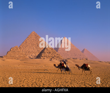 Egypte Le Caire Giza Pyramides avec des chameaux et des pilotes Banque D'Images