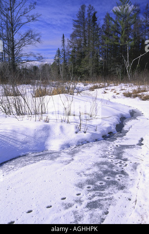 Browning Creek en hiver, USA, Michigan, Dickinson Comté Banque D'Images