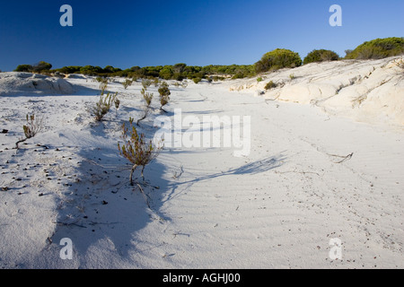 Sable blanc Mazagon Huelva Espagne Banque D'Images