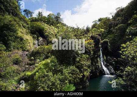 Cascade bordée de végétation luxuriante à Maui Hawaii Banque D'Images