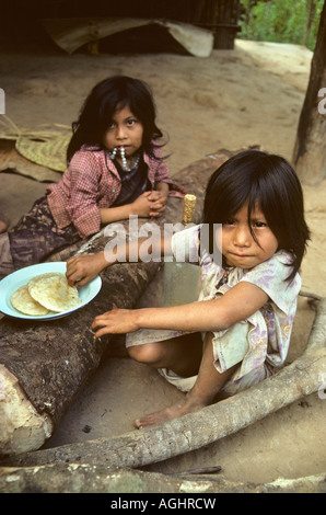 La Bolivie, Reyes, les enfants de la tribu Chimanes Banque D'Images