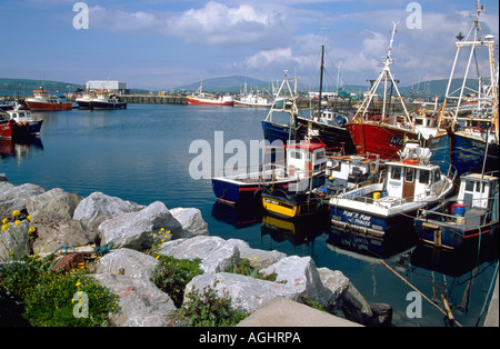 Les bateaux de pêche amarrés au port. Dingle Comté de Kerry Irlande Europe Banque D'Images