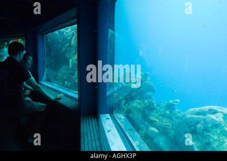 Israël Mer Rouge l'observatoire sous-marin d'Eilat parc marin deux hommes dans l'observation observatoire sous-marin de coraux et de poissons Banque D'Images