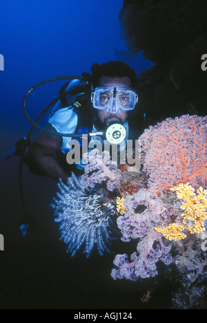 Plongeur avec coraux mous et crinoïde Banque D'Images