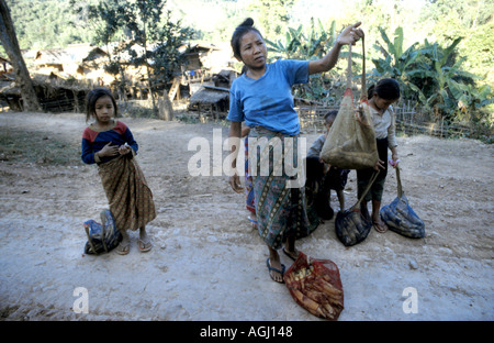 Une femme offre de pousses de bambou frais coupé à partir de la jungle et prêt à prendre pour manger à Luang Nam Tha dans le nord ouest Laos Banque D'Images