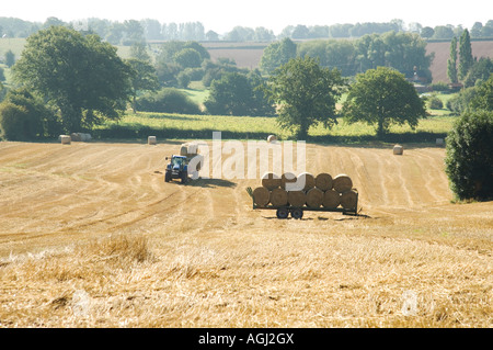 Champ de blé récolté en balles de paille ayant la charge du tracteur - les balles rondes sur la remorque. Banque D'Images