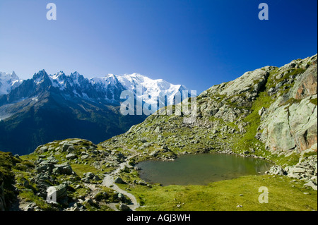 Le Mont Blanc depuis l'Aiguille Rouge Chamonix Parc National de France Banque D'Images