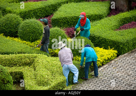 Flore et faune & jardinage jardiniers haute visibilité à Suan Nong Nooch ou Nong Nooch Tropical Botanical Garden Resort, Pattaya, Thaïlande, Asie, Banque D'Images