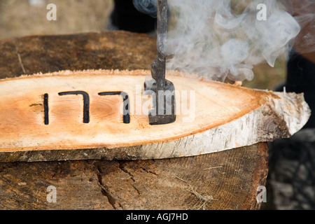 Fer à marquer à chaud brûlant la lettre E en bois de bouleau, plaque Banque D'Images