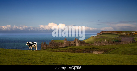 Vue sur le château de Dunluce Co. Antrim Irlande du Nord Banque D'Images