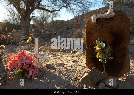 Animaux de cimetière près de la remorque de Sleepy Hollow Park sur la réserve indienne de Andrade Californie Quechan Banque D'Images