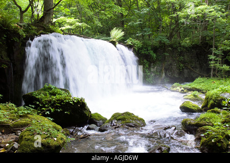 Choshi Great Falls, Oirase Lac Towada, Gorge, Aomori-ken en été Banque D'Images