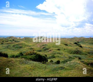 Lettes de dunes de la réserve naturelle nationale de kenfig porthcawl Galles du sud Banque D'Images