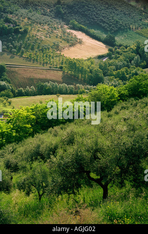 Les terres agricoles à flanc de colline de la région des Abruzzes en Italie Banque D'Images