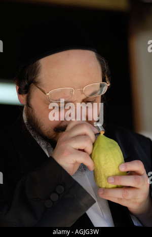 Juif orthodoxe Ultra citron chèques pour défauts avant d'acheter et de l'utiliser dans la prière de cérémonie pendant Souccot Fête des Tabernacles à Jérusalem Israël Banque D'Images