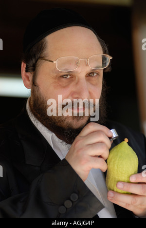 Juif orthodoxe Ultra citron chèques pour défauts avant d'acheter et de l'utiliser dans la prière de cérémonie pendant Souccot Fête des Tabernacles à Jérusalem Israël Banque D'Images