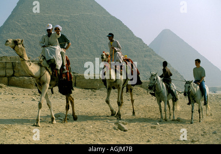 Cairo Pyramids of Giza Banque D'Images