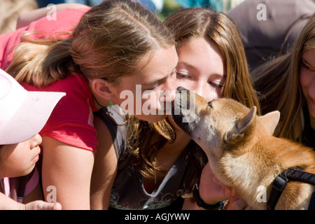 Guinée Singing Dog licking adolescente de rousseur sur le visage alors qu'elle atteint jusqu'à embrasser le chien dans une foule d'enfants. Banque D'Images