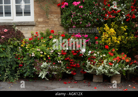 Un affichage floral le long de Cecily Hill Cirencester Gloucestershire Angleterre Banque D'Images