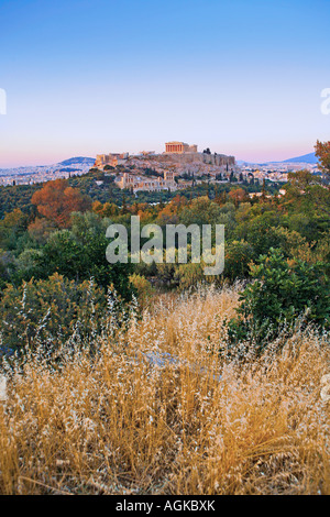 Le Parthénon à Athènes Banque D'Images