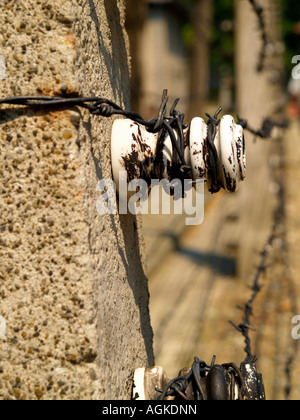 Détail de barbelés électrifiés à l'extérieur du camp de concentration d'Auschwitz Cracovie, Pologne. Banque D'Images