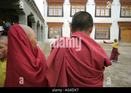 Enfants jouant avec un chien à Leh, Ladakh, Inde Banque D'Images