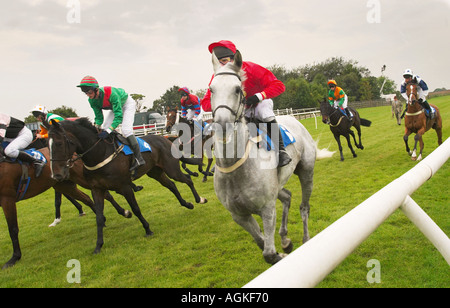 Chevaux de course - chevaux au départ d'une course UK Banque D'Images