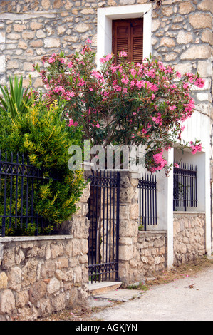 Fleur pourpre de lauriers roses et décorer des maisons en pierre près de Corinthe, Grèce Banque D'Images