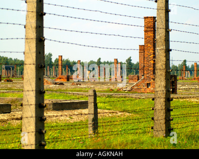 Les fils barbelés, casernes, et de champs vides et de ruines à l'extérieur du camp de concentration d'Auschwitz Cracovie, Pologne. Banque D'Images